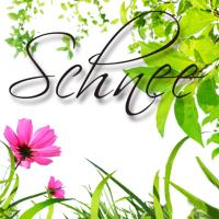 schnee なを
