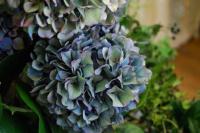 la-fleur