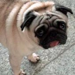 「ひ」の子のプロフィール