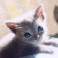 なぷ