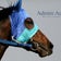 必勝！競馬予想
