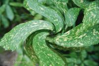 優＾＾