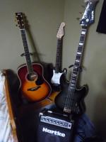 エレキベース】 | 腐ってるから刺されても痛くない