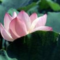 くのいち☆のプロフィール