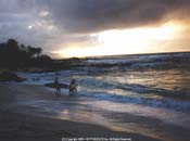 `Ohi`a Lehua