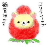 ぇりりω(ﾟωﾟ)