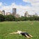 旅人YOGINI  の独り言☆