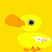 どしゅこい