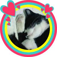 ナナ