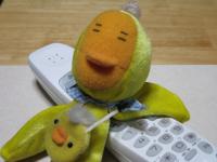 ほてこ