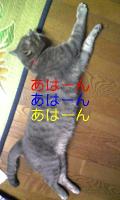 鹿野じる
