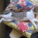 猫（クータくん）とコレクション