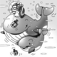 クジラ