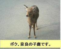なお