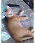 hiromin