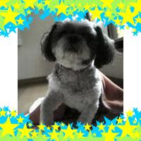 RyOっちです(^0^)/