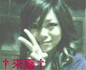 來嘉-raika-