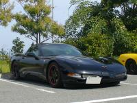 easy-z51