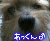 アックン