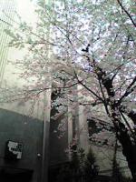 RYO子