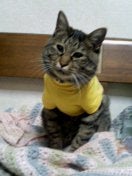 かなた