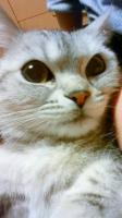 ZAKI★