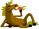 Maxkie