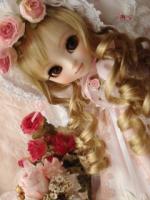 薔薇姫