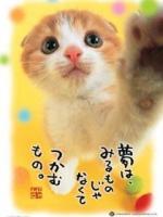 さ-ちゃん
