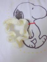 かじゅ