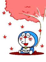 朋花