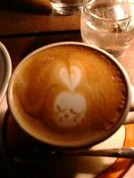 cocoa