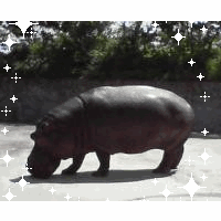苺っ鼻ピエロ