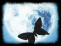 ◕‿◕ Dark Papillon ◕‿◕