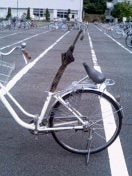 仮 花嫁のやんごとなき事情 あなたに送る独り言byはむばね