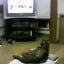 ぐうたらママのサムネイル