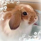 ちあら