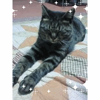 ミリ