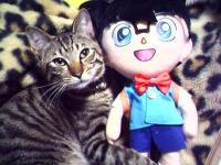 小猫
