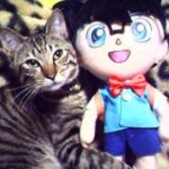 らんま１ 2 右京のスカート大作戦 １ の動画が見られます Michael Jackson Xjapan