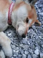 侑眞