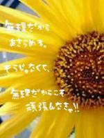 ひまわり