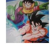 ドラゴンボール カードダス の一般ブログ検索結果 Ameba検索