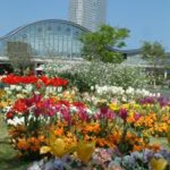 宮崎市山崎町 長田農園 収穫祭に参加しました グリーンツーリズム インストラクターの挑戦 宮崎市山崎町 長田農園 収穫祭に参加しました グリーンツーリズム インストラクターの挑戦