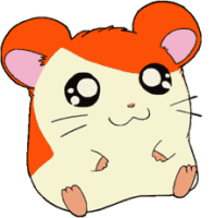suki