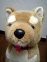 みさってぃ