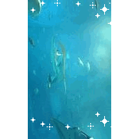 かぁな