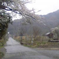 まんねん