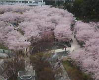 ゆう＆こう