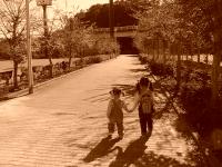 maoao♪